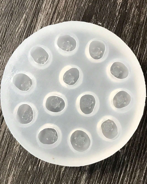 Moldes Arandanos
